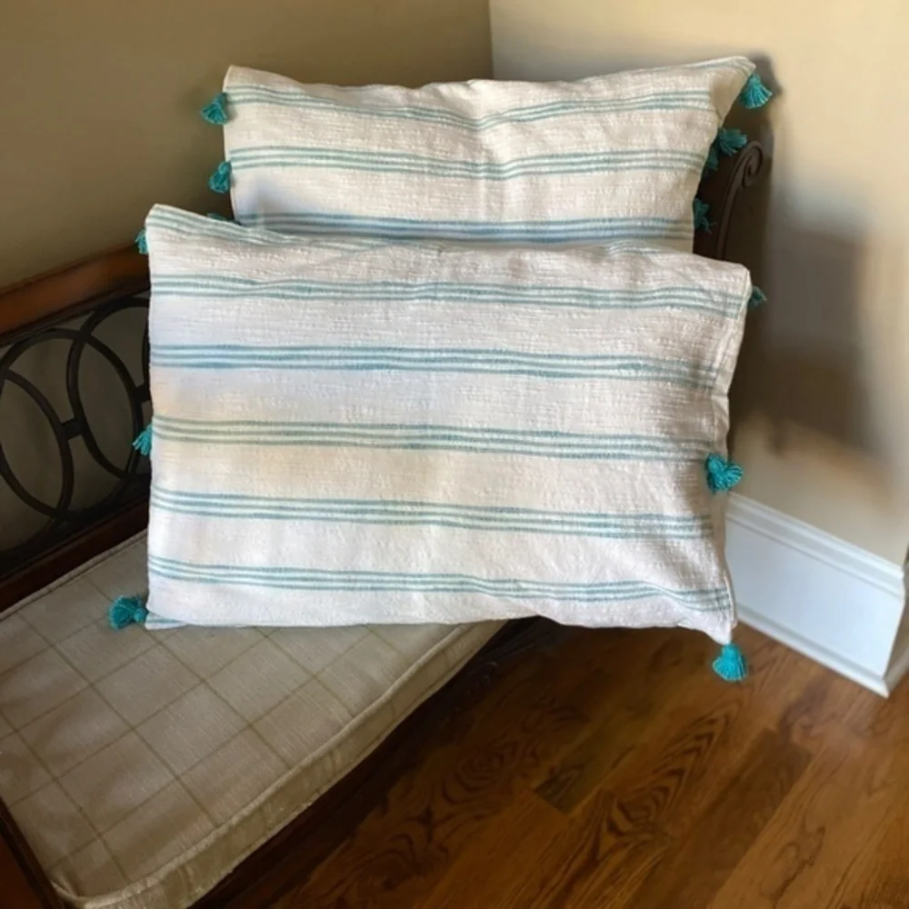Anthropologie Blue Striped Pillow  Tassel Shams